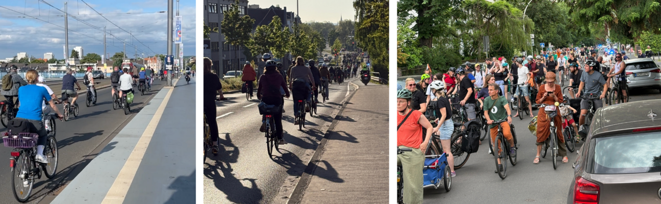 Critical Mass Bonn