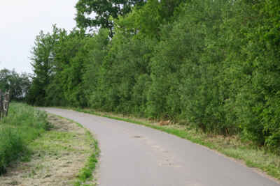 Foto aus Poyenberg