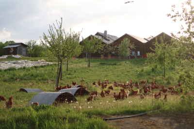 Foto aus Seevetal