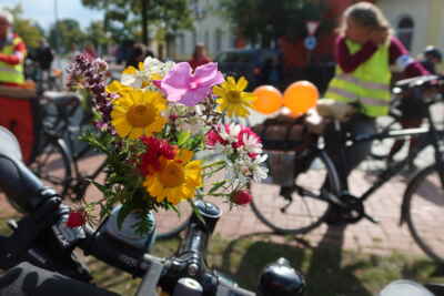 Foto aus Soltau